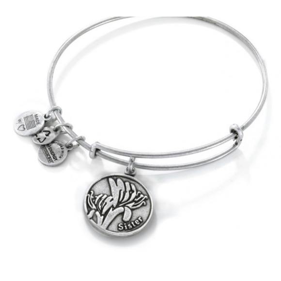 Alex and Ani Silver Bangle Sister Charm bracelet - Picture 13 of 14